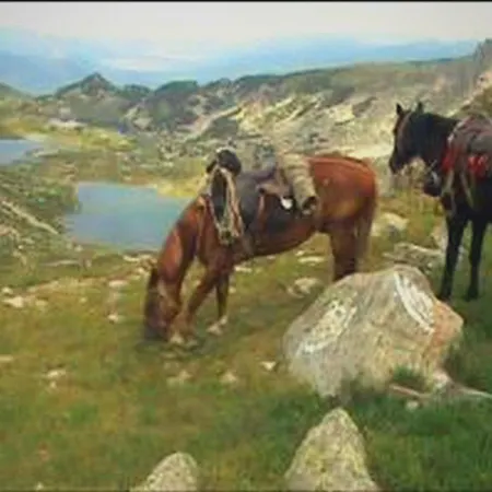 In Flora 4* Borovets